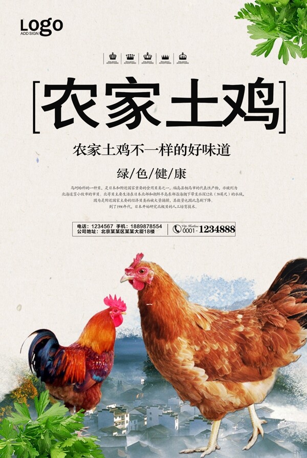 自然风农家土鸡宣传海报