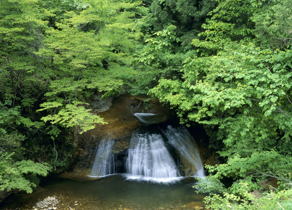 青山绿树河流景色图片