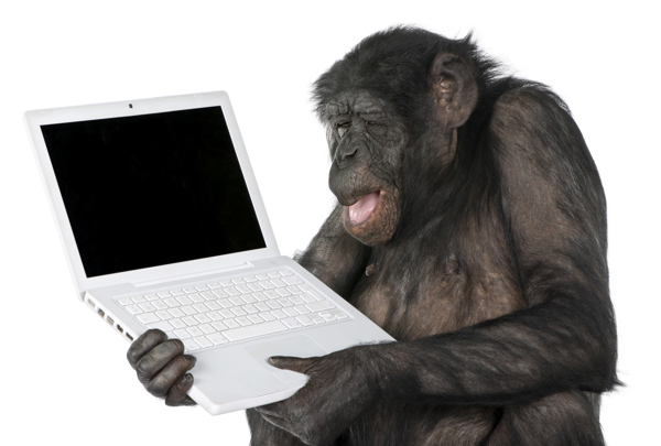 手拿笔记本电脑的猩猩图片