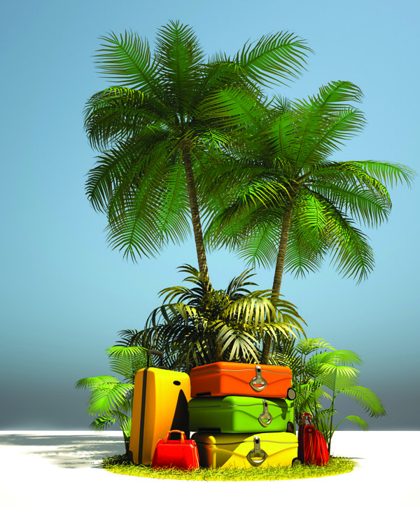 椰树与行李箱图片