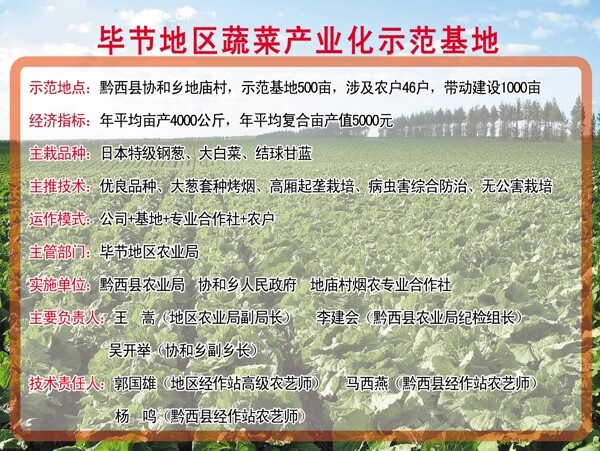 毕节地区蔬菜产业化示范基地图片