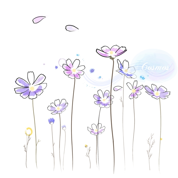 蓝小菊花