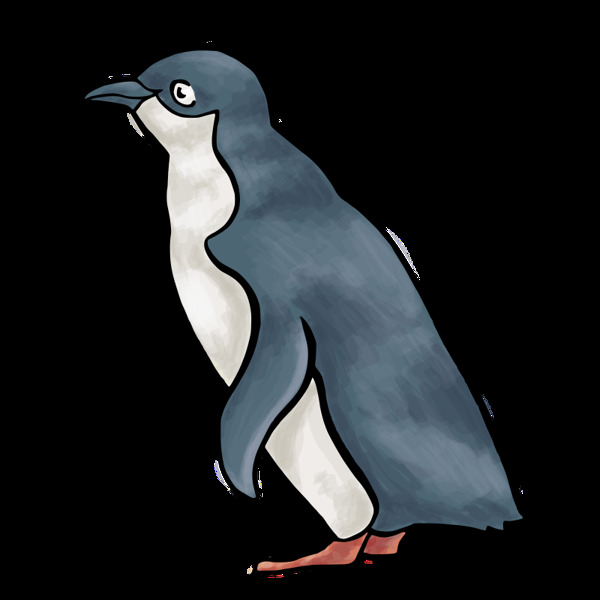 该lca2010企鹅蓝光