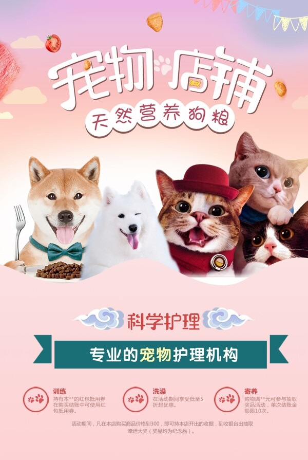 宠物店铺猫粮宠物促销海报