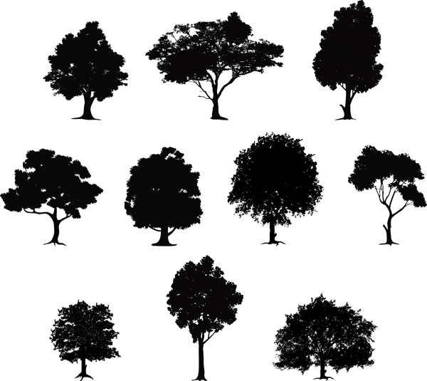 树木剪影图片