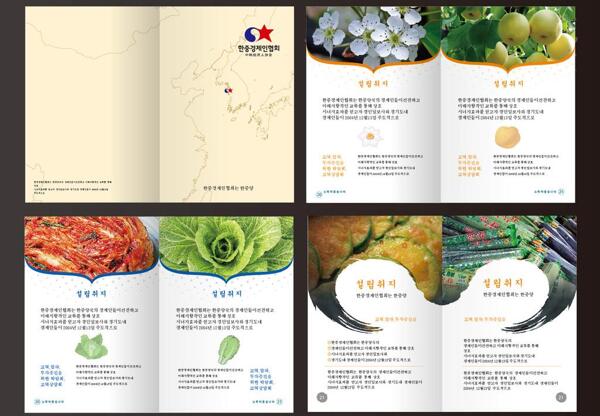 韩国美食画册图片