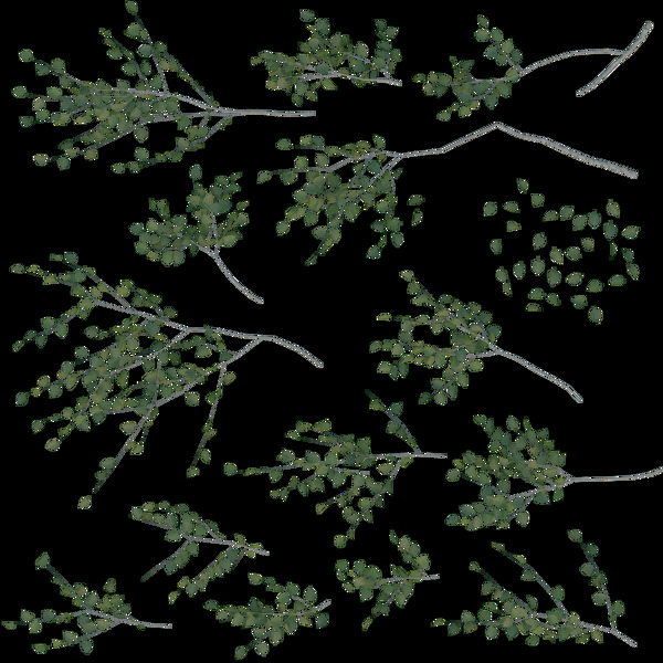 树木植物模型图片