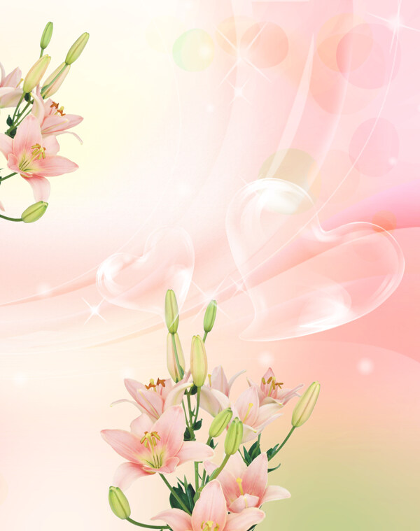 唯美粉色百合花背景图片