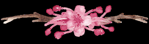 手绘粉红色樱花素材