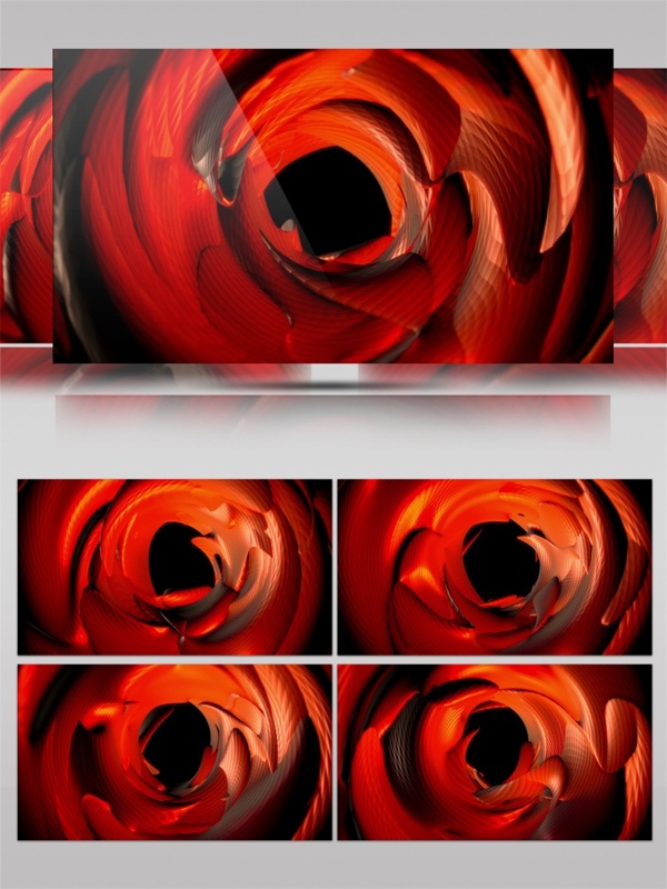 红色玫瑰动态视频素材