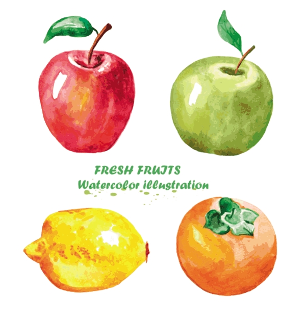 苹果西红柿素描手绘水果食物矢量图
