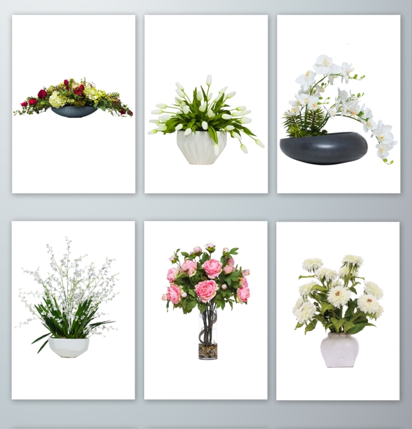 白色花朵盆栽设计素材