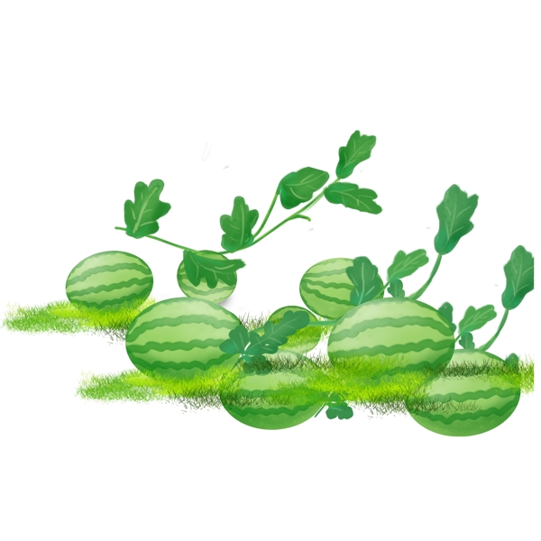 夏日西瓜植物装饰