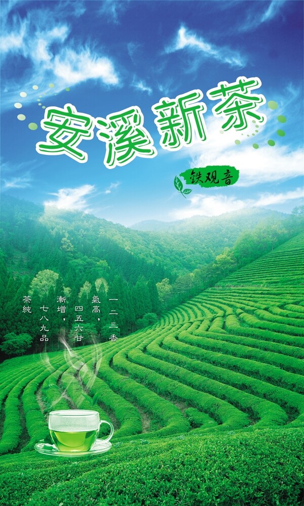 安溪新茶茶叶包装袋设计素材