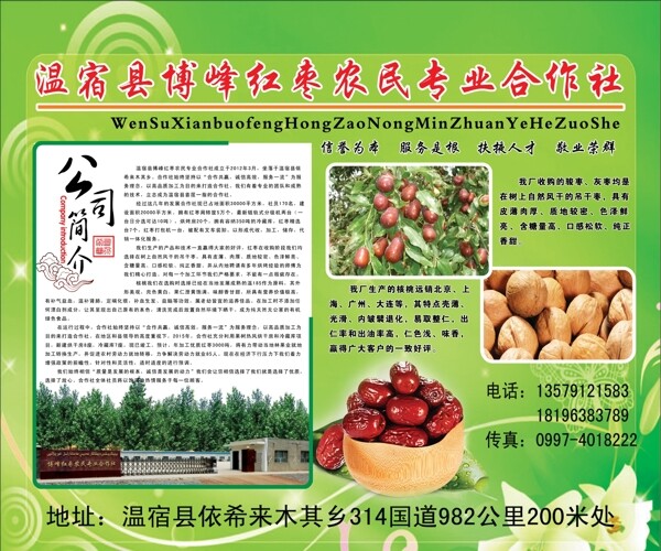 红枣农民合作社宣传