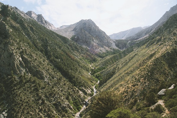 山风景绿色