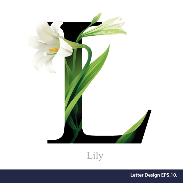 热带花卉英文字母字体设计