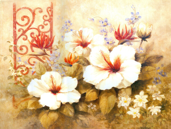 美丽的油画花卉图片