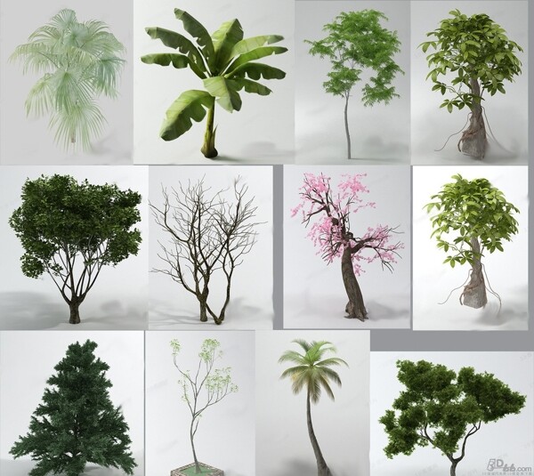 树木模型图片