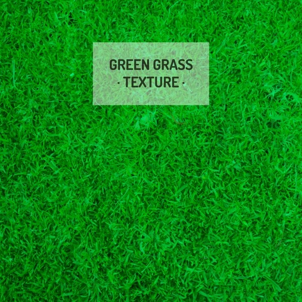 逼真绿色草坪背景矢量素材