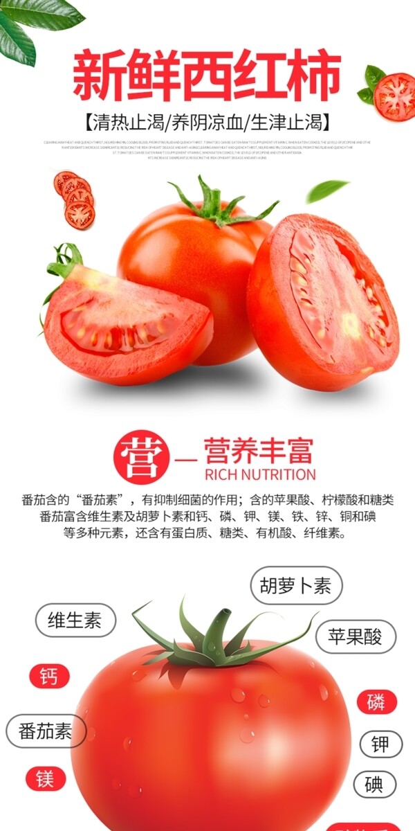 电商详情页简约清新果蔬西红柿番茄绿叶