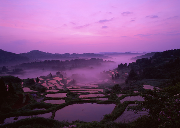 夕阳下的梯田