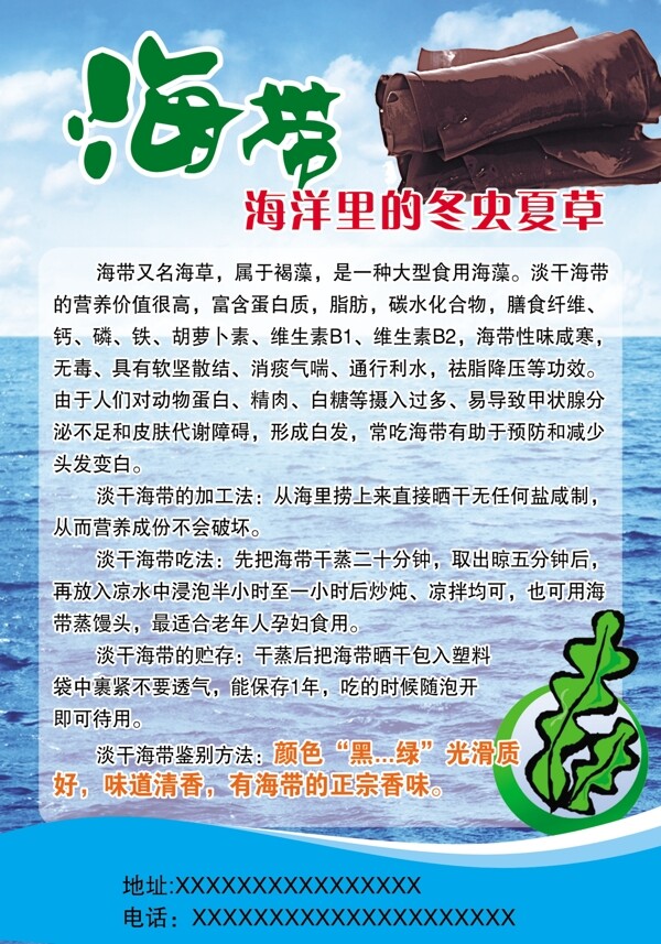 海带宣传单图片