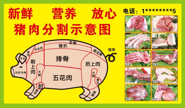 猪肉分割图海报