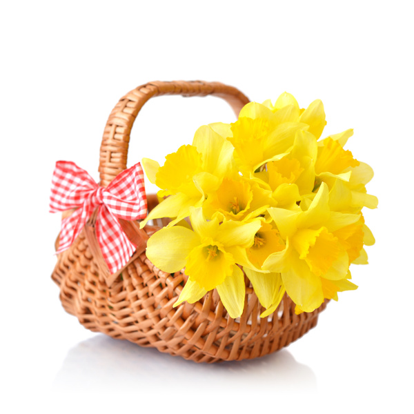篮子的黄色花朵图片