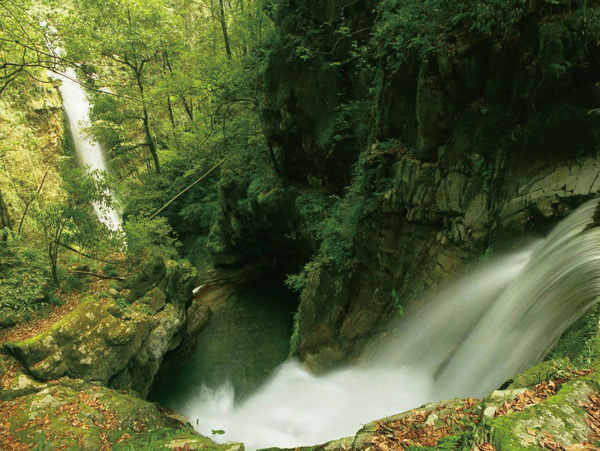 湘西风景永顺县小溪国家保护森林公园溪水爬山青山绿水图片