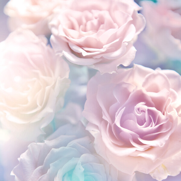 粉色花朵浪漫背景