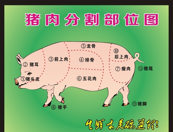 猪肉分割图图片