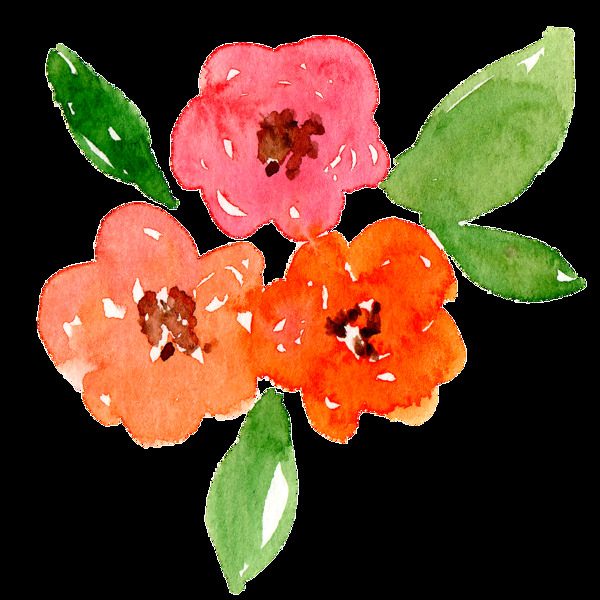 手绘水彩三朵花装饰素材
