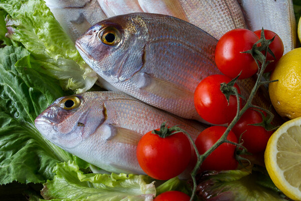 新鲜蔬菜与新鲜鱼图片