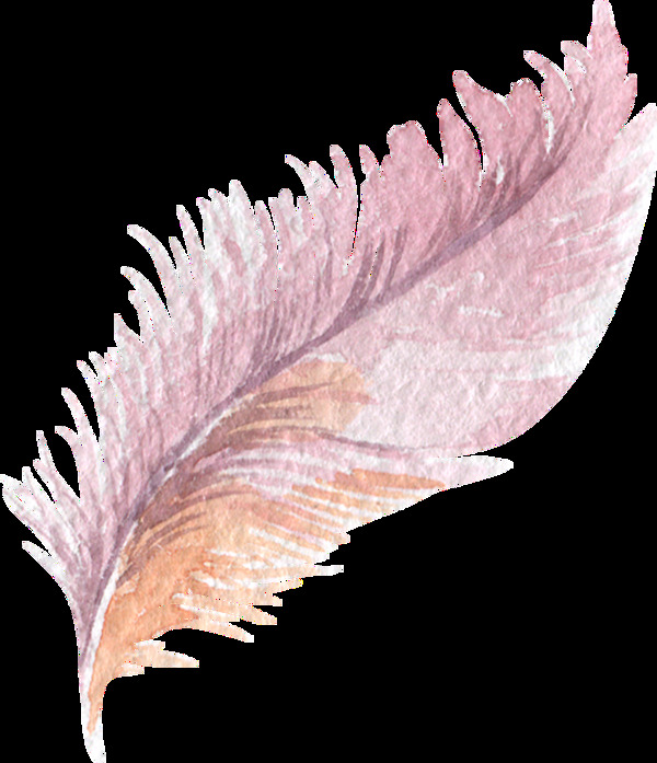 粘粉羽翼透明装饰素材