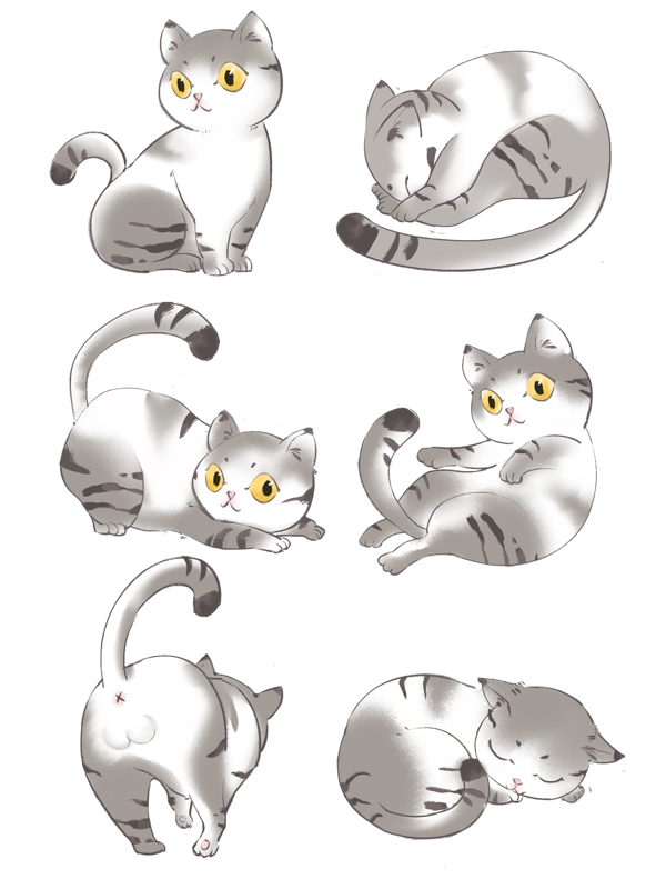 中国风水墨彩绘动物可爱猫