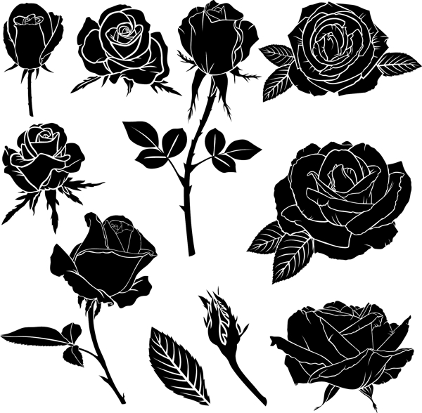 黑白时尚剪影玫瑰花植物