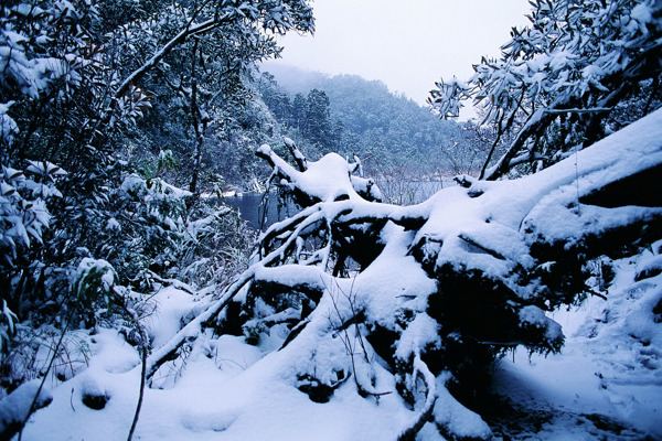 冬天雪景