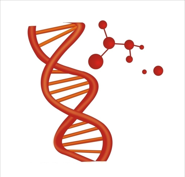 DNA基因链图片