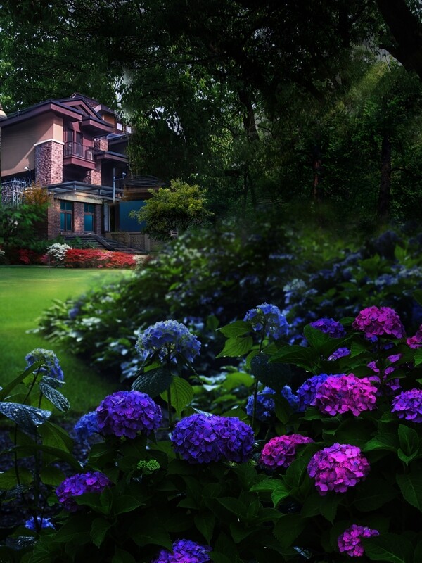 别墅花园