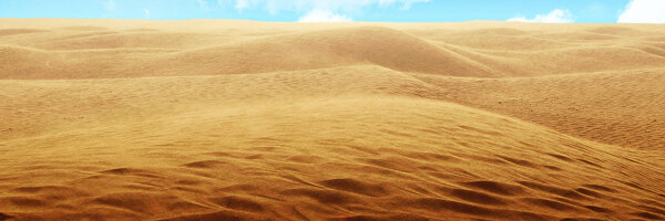 黄色沙漠骆驼脚印淘宝banner背景
