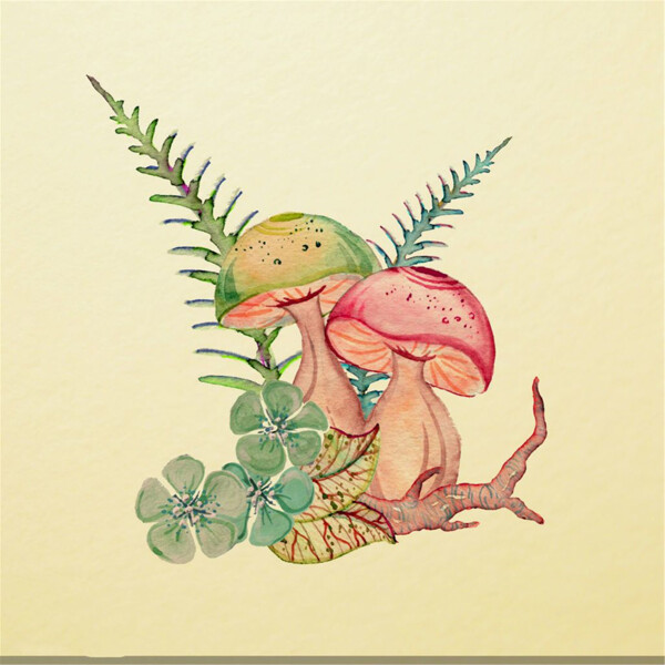 水彩小草蘑菇插画图
