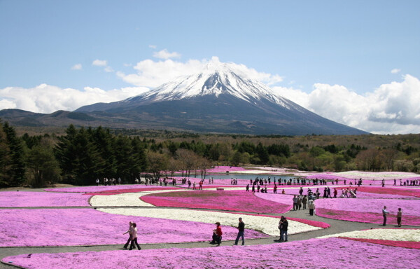 日本富士山