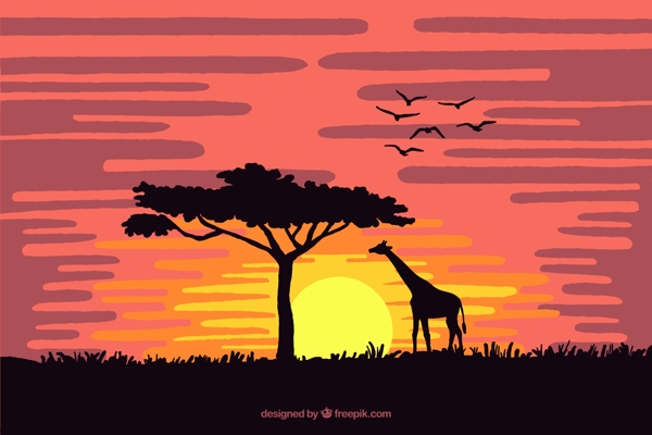 夕阳下的非洲图片