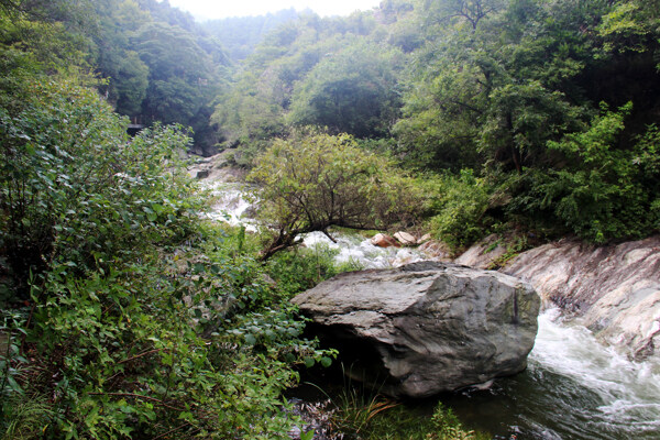 锦里沟风景摄影图片