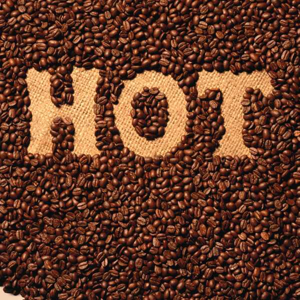 咖啡豆创意字hot