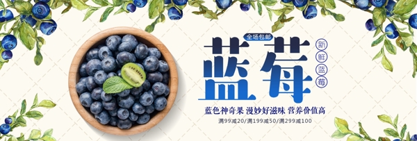 清新文艺食品水果蓝莓新鲜淘宝banner
