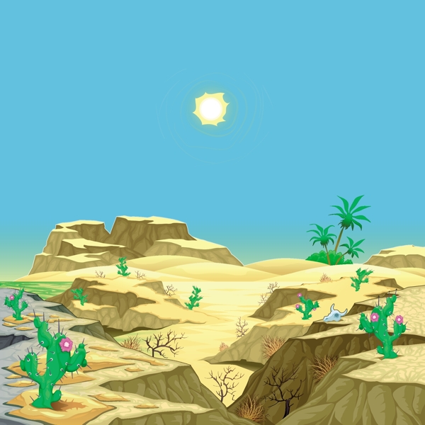 沙漠景观