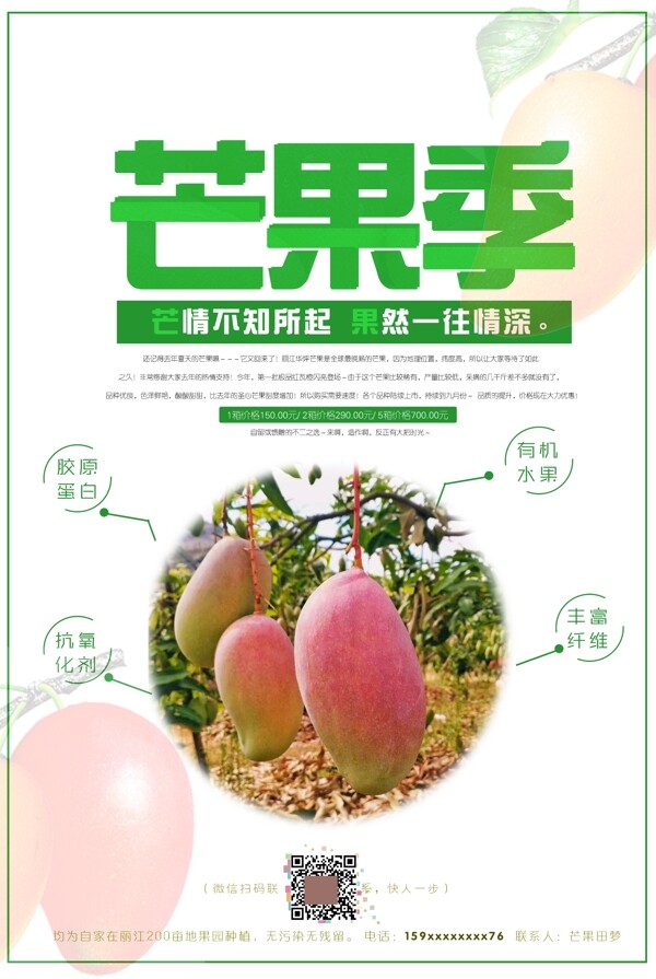 芒果季节促销海报