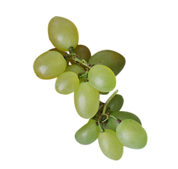 绿色葡萄一串